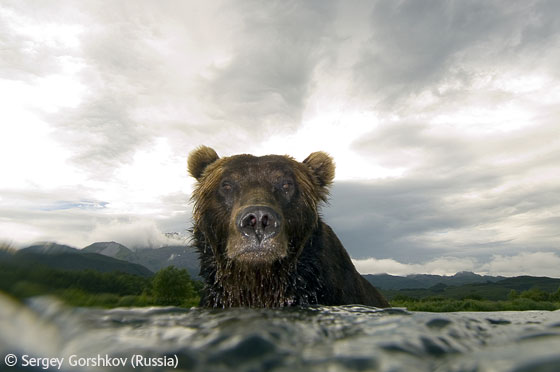 Stop The Moment - лучшие фотографии конкурса!