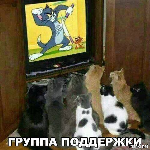 Подборка интересных и веселых картинок