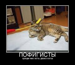 Искусство пофигизма: люди, которым плевать на обстоятельства