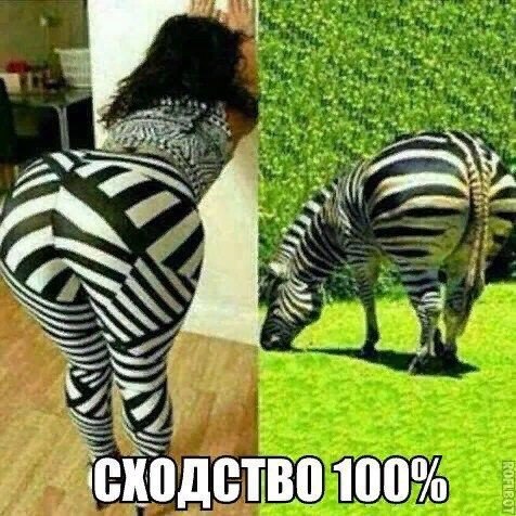 Подборка интересных и веселых картинок