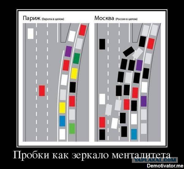 Наглый обочечник