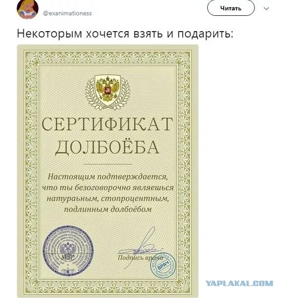 Сертификат Дурака