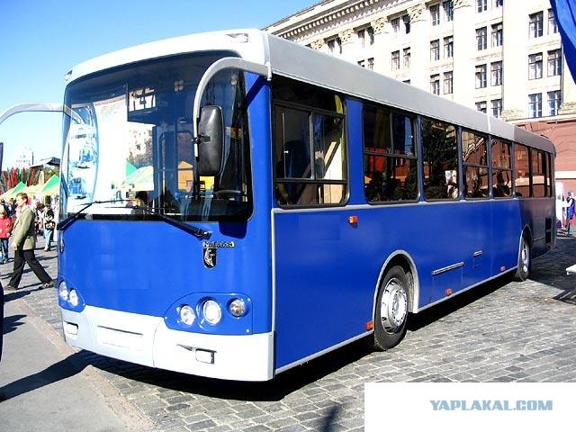 Игра на ЯПе: Угадай АВТО-5