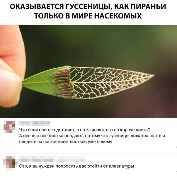 Бредзона 10.11.19