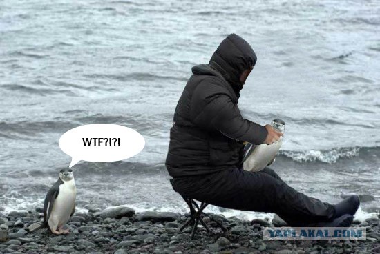 Внимательный фотограф