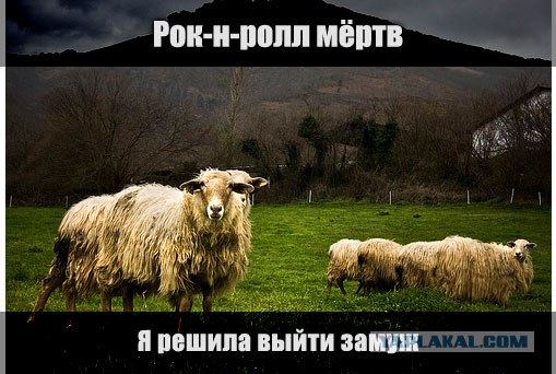 Фотожаба: Создаём свой альбом