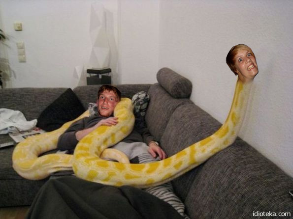 Вытянулась: картинка и 2 жабы