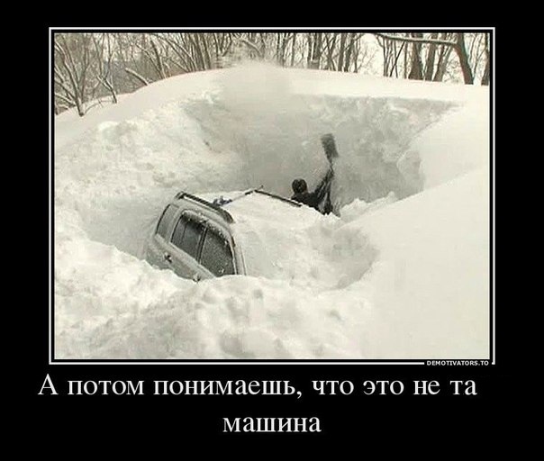 А знаете, какая средняя цена сейчас на услугу «откопать автомобиль»?