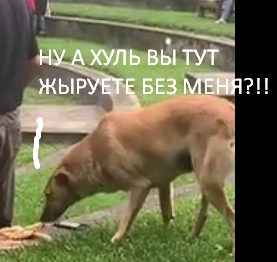 "Это я удачно зашел!"