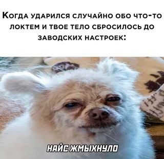 Картинки и мемы для настроения - 22