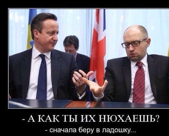 Великая стена Яценюка