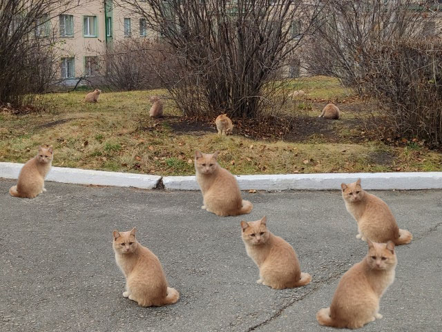 Сбой в матрице