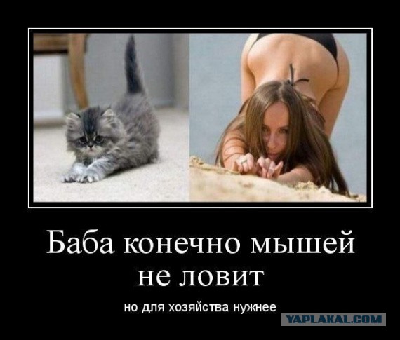 Картинки и мемы для настроения - 131