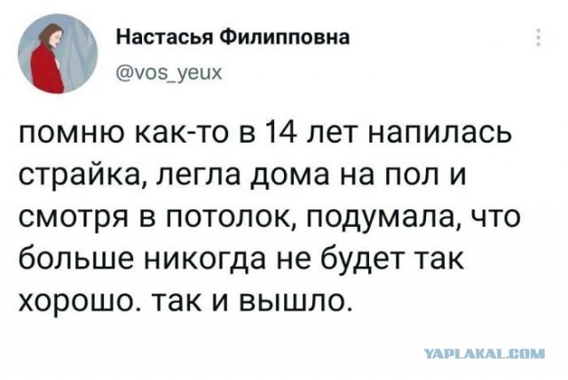 Заметки начинающего алкоголика