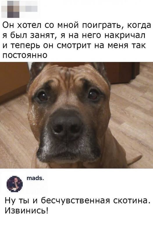 Веселые картинки в понедельник (03.03)