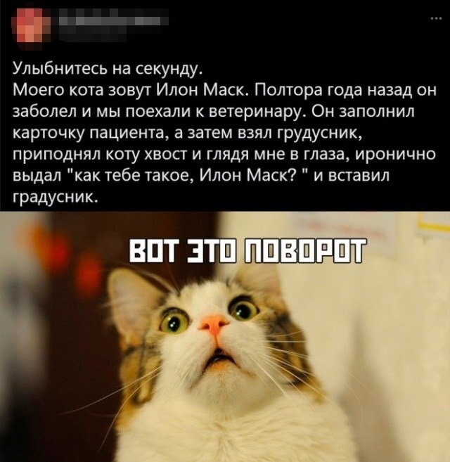 Картинки для деградации 49 (разной степени свежести)