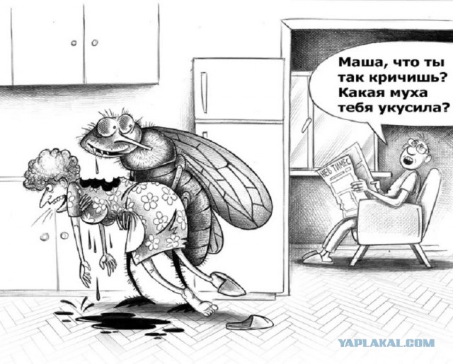 Баянистой пост