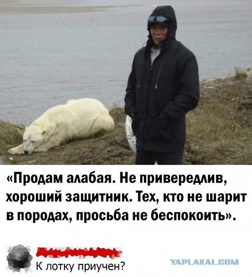 Просьба динозаврам не мешать бизнесу