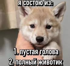 Так себе картинки 26.11.25