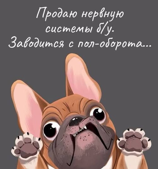 Картинки для деградации 146 (разной степени свежести)