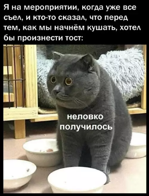 Картиночки, баянчики 12 марта