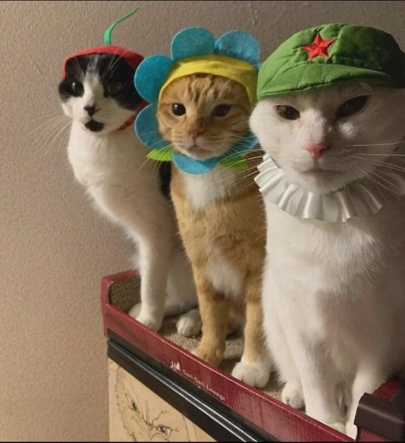 Мне тут доверили....