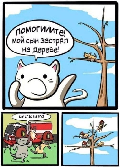 К котовторнику: подборка картинок-баянов с котиками и про котиков. Выпуск 40.