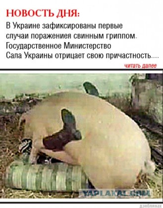 Угадайте, для чего устройство?