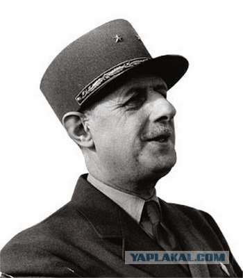 Улыбки знаменитостей