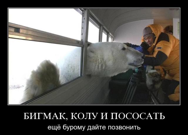 Демотиваторы.