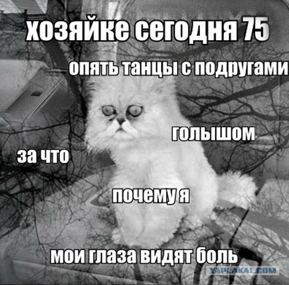 Комменты из соцсетей