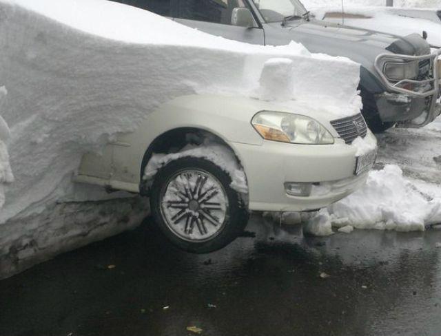 Весёлые картинки
