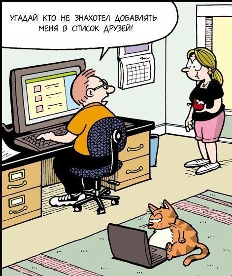 Если бы коты писали смс 2