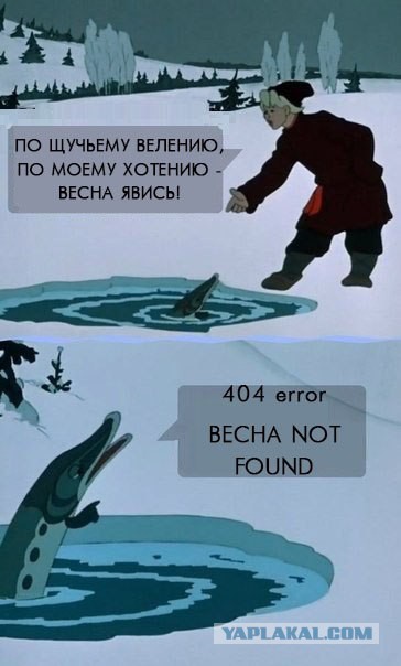 Приколы из соцсетей