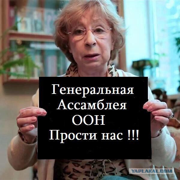 Прямая трансляция из ООН