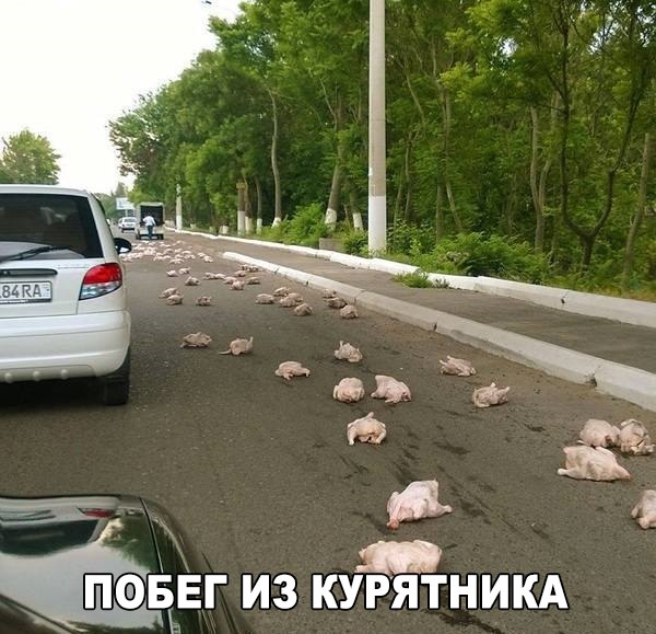 Позитив на воскресенье