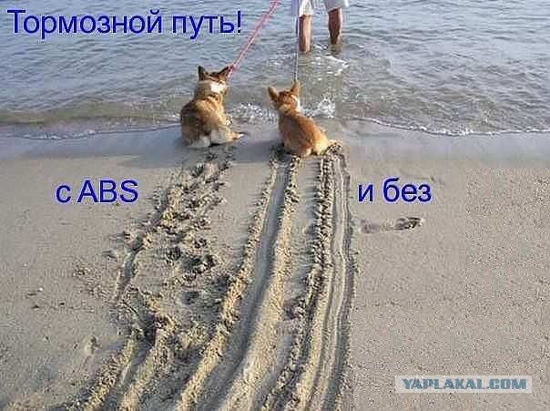 Автоприколы