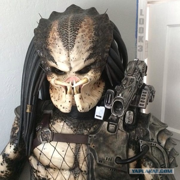 Мастер своего дела