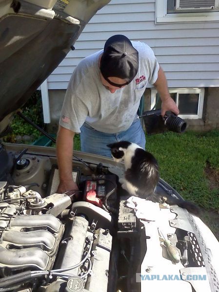 Подборка интересных и веселых картинок