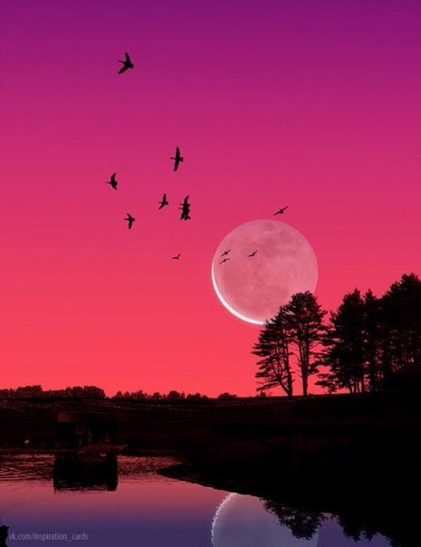 Интересные и веселые картинки