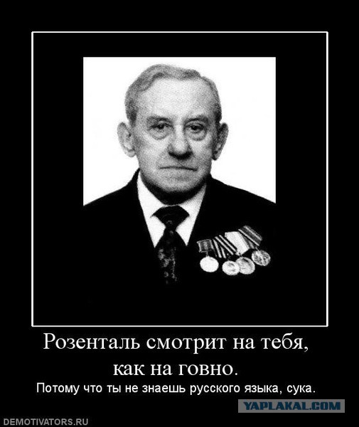 Сети и русский язык
