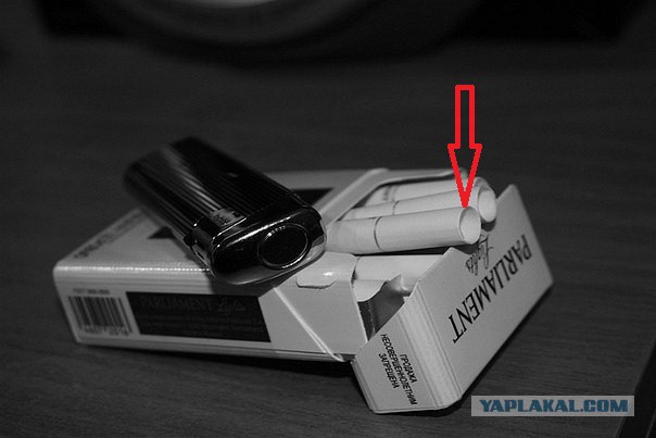 Видяшечки на понедельник