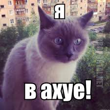 Если бы у ЯПа был сайт-антипод...