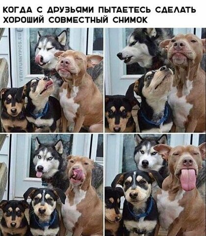 Анекдоты, истории и картинки с надписями