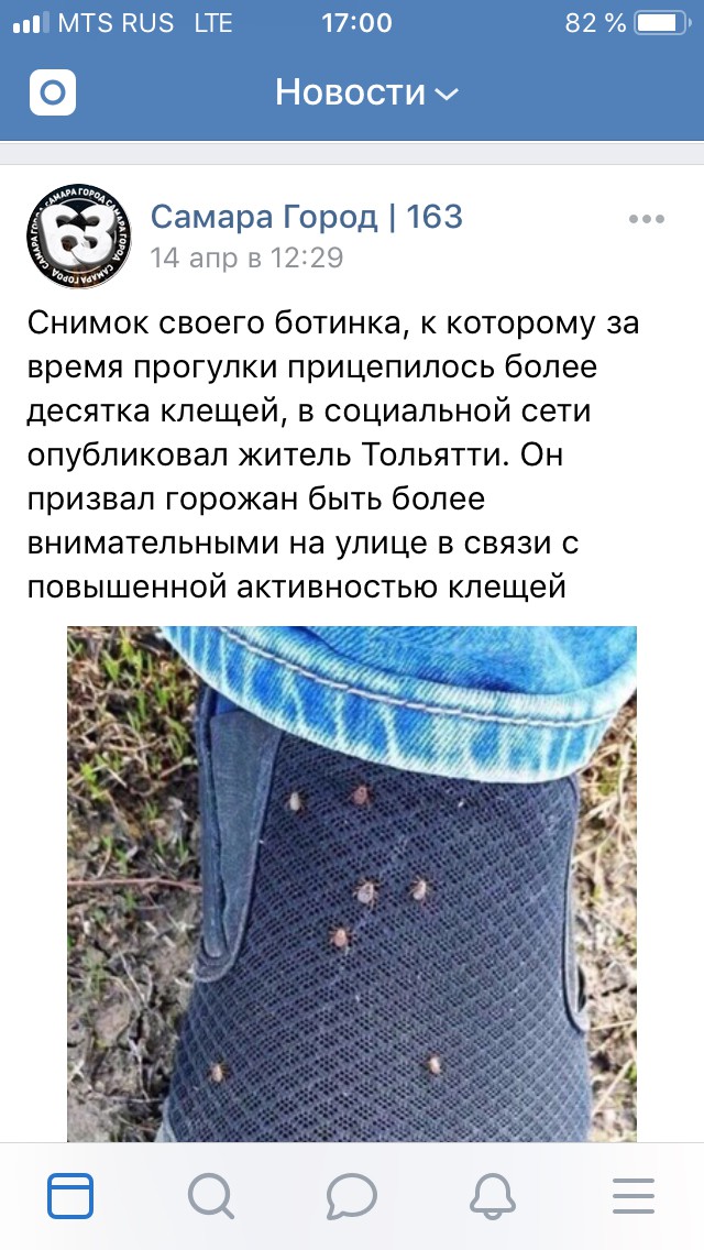 Решили пожарить шашлычка на выходных