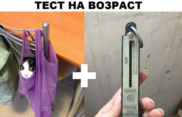 Забавные комментарии из социальных сетей 04.11.19