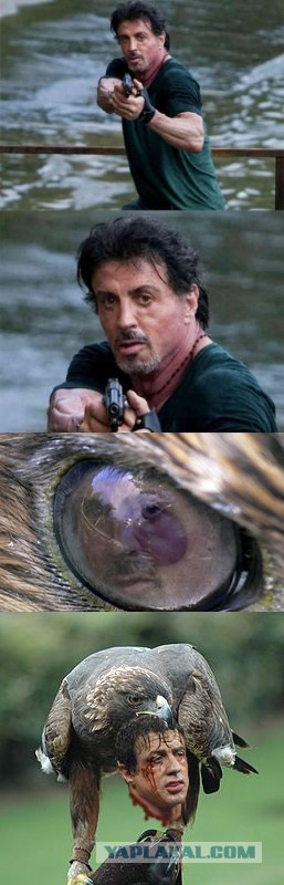 Фотожаба: Куда так торопится Слай?