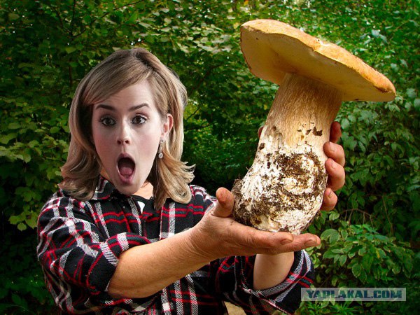 Что увидела Эмма