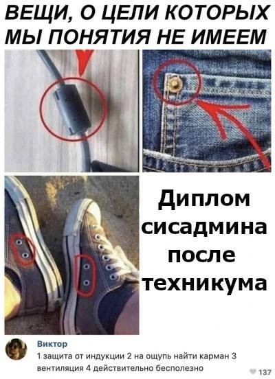 15741811.jpg