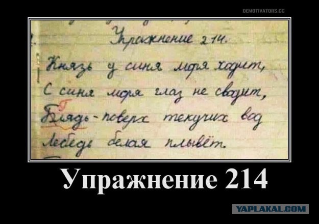 Так себе картинки 11.08.21
